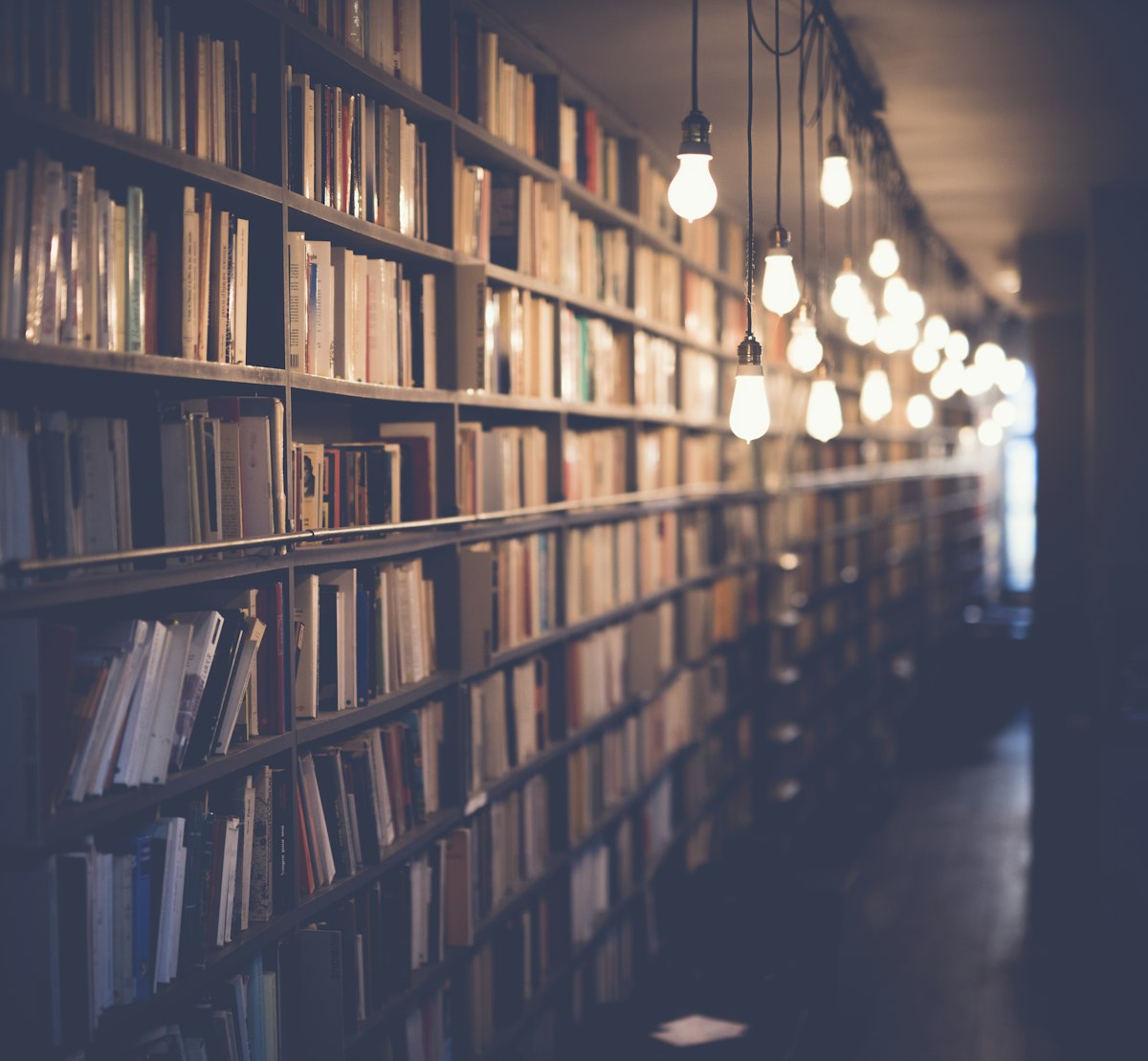 Long bookshelf lined with books softly lit by warm hanging bulbs in a quiet library